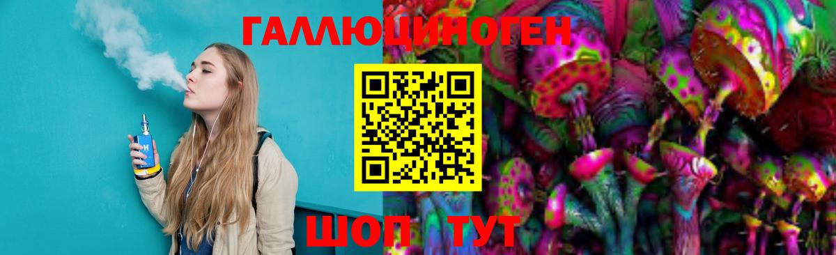 Галлюциногенные грибы Psilocybe Чебаркуль